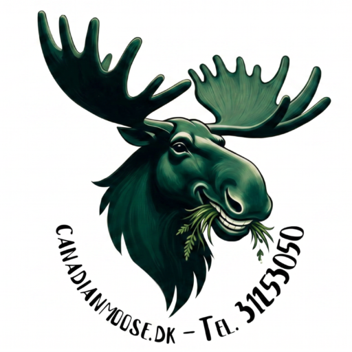 Canadian Moose